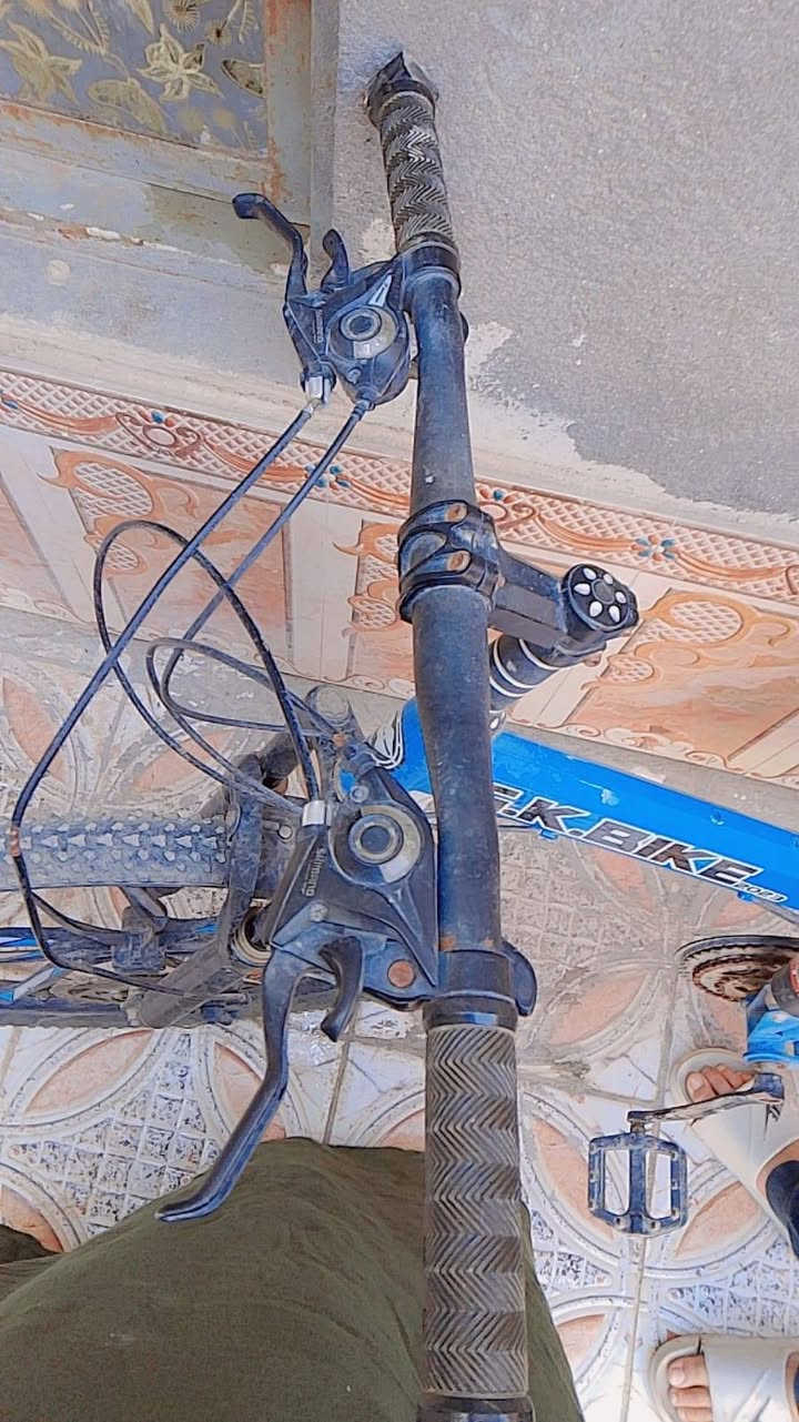 باسكل جبلي للبيع ناصريه 80


**إذا كنت صاحب هذا الإعلان وتريد حذفه لأي سبب، رجاءا أرسل رسالة إلى الدعم الفني**