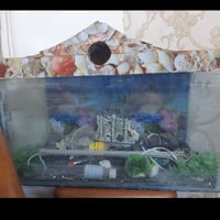 حوض سمك • كامل • الغزاليه