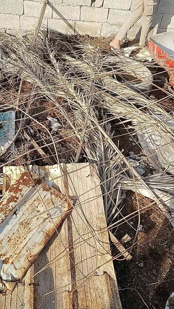 حديد بي ارسي وشياش وبيبان وعمدان  وهنكلان حديد وخشب مال اسيجه وسقوف كميه وواجهات اقفاص وشرك كميه
مكاني واسط كوت حي الجهاد 
تجي تقيم ونتفق رقمي بالخاص


**إذا كنت صاحب هذا الإعلان وتريد حذفه لأي سبب، رجاءا أرسل رسالة إلى الدعم الفني**