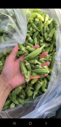 حوي بانيه جديد كل يوم بيوم الكيلو ب1500 لو بيه هم ع الف 1500 الحجز  وا...
