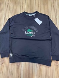 قطن بهاري • لاكوست • مقاس لارج