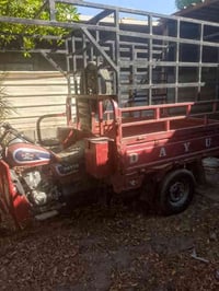 ستوتة دايون موديل 19 اوراق اصولي ركبة مكفولة ستوتة خير من الله مكاني ب...