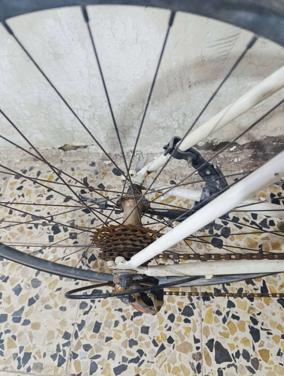 بيسكل C700 المنيوم وزن ريشه سعر خاص


**إذا كنت صاحب هذا الإعلان وتريد حذفه لأي سبب، رجاءا أرسل رسالة إلى الدعم الفني**