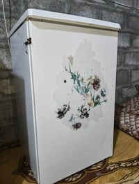 ثلاجة • منزلية