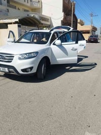 خليجي • ٦ سلندر • ٧ راكب