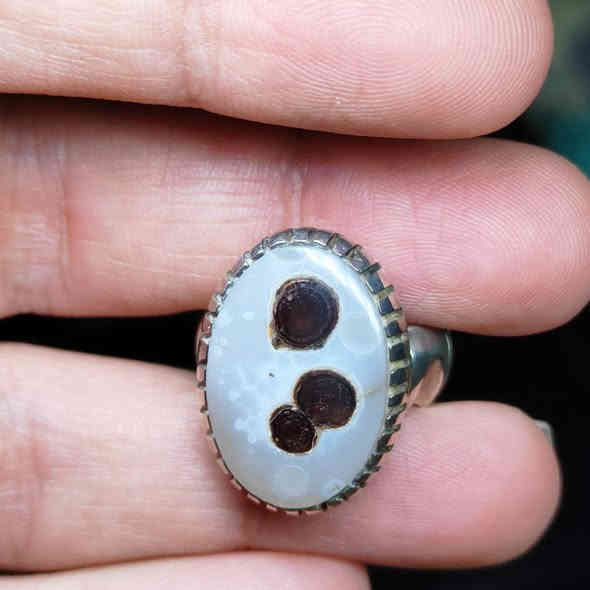 داودي يماني سعر 40 
يوجد توصيل واتساب ***********
