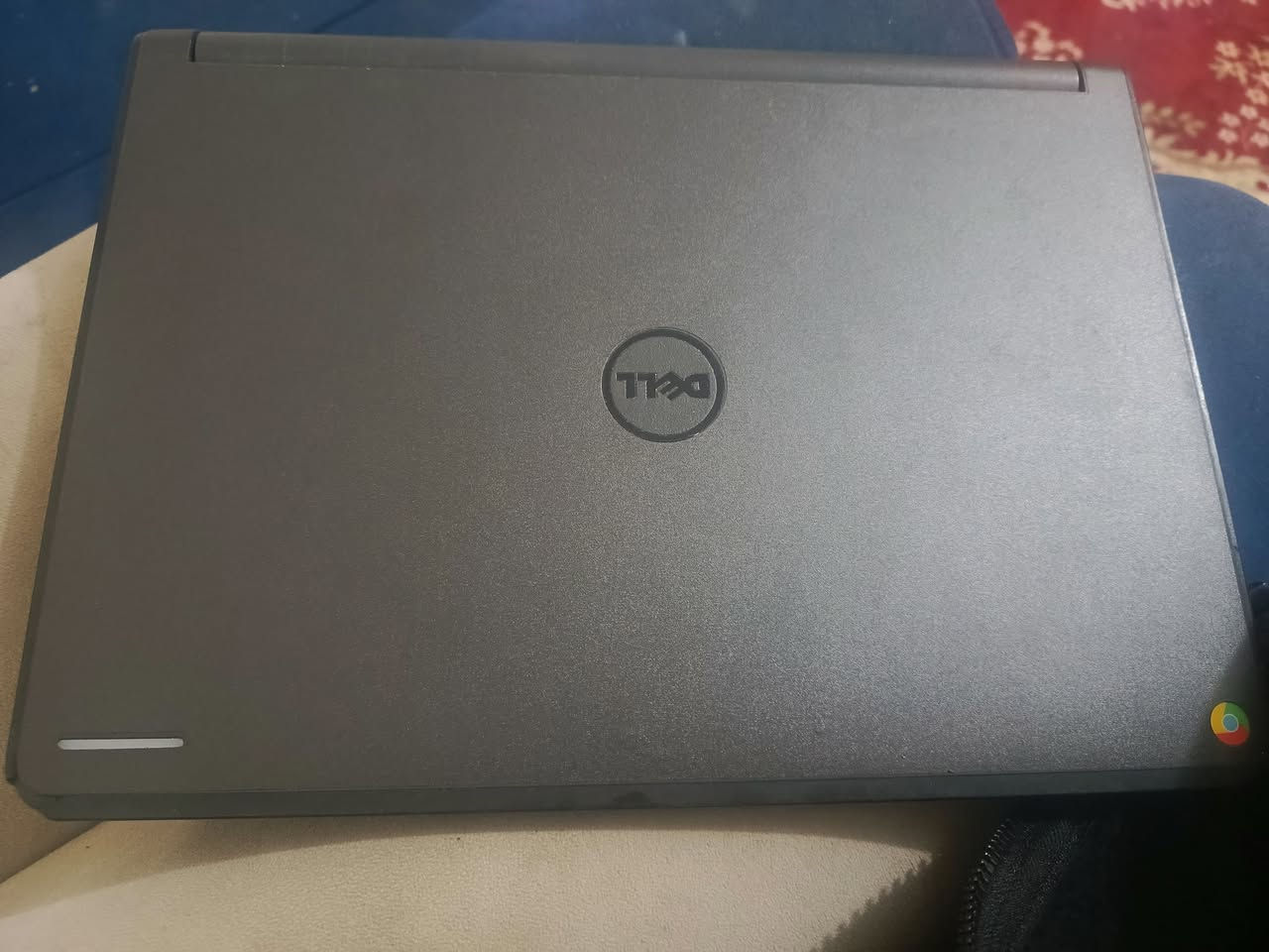 للبيع مكاني بغداد شاشة لمس + كيبورد


**إذا كنت صاحب هذا الإعلان وتريد حذفه لأي سبب، رجاءا أرسل رسالة إلى الدعم الفني**