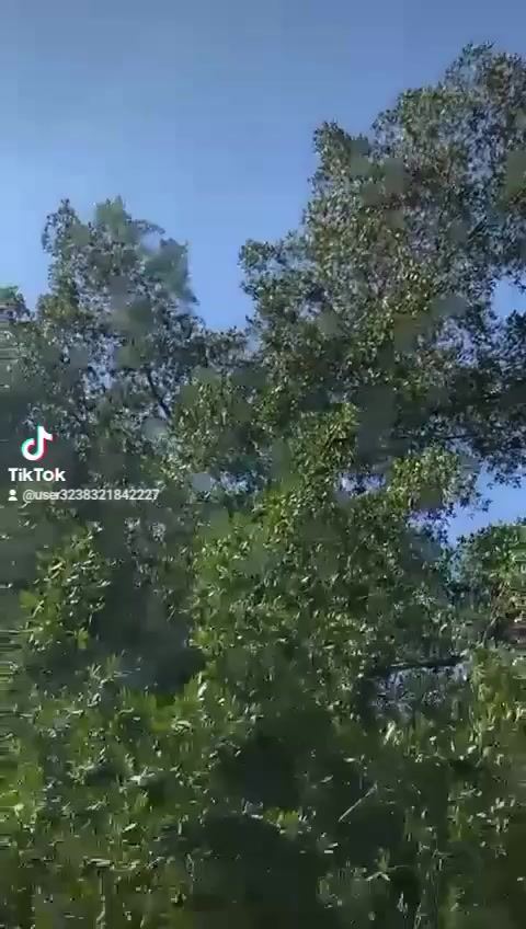 سلام عليكم دراجه بوليس للبيع دراجه مالرمبة جديده كهربائياتة كلهة شغالة نوزل نكرة سلف دراجه كلشي بيهة شغال مامفتوحة  مكفولة كفالة عامة السعر 850وبيهة مجال للطيبين مكاني بغداد الامين الثانية ***********
