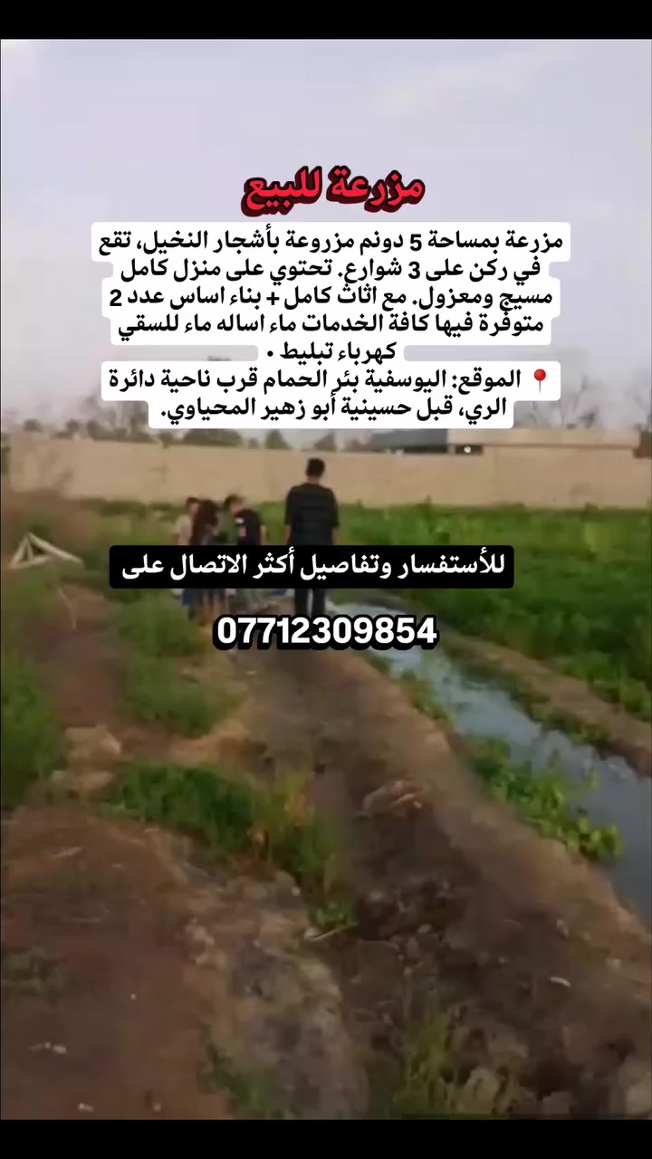 ‏نعلن عن بيع مزرعة متكاملة في موقع استراتيجي بمنطقة اليوسفية،
‏المساحة 5 دونم طابو زراعي سند قانون 25 شهادة قانونية جاهزة مزروعة بأشجار النخيل والحمضيات..
‏ من ضمن المساحة منزل كامل مع اثاث كامل مسيج ومعزول ..+ بناء اساس عدد 2 تبليط ماء نهري ماء اسالة كهرباء /
‏📍 الموقع الكامل اليوسفية ركن على 3 شوارع تبليط بئر الحمام قرب ناحية دائرة الري.  قبل حسينية ابو زهير المحياوي.
‏للتواصل المباشر مع المالك الاتصال على الرقم
‏***********
| #العراق #عقارات_العراق #عقارات_للبيع #مزرعة_للبيع #عقارات_اليوسفية #عقارات_بغداد
