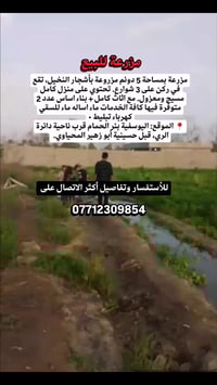 اليوسفية • ٥ دونم • طابو زراعي