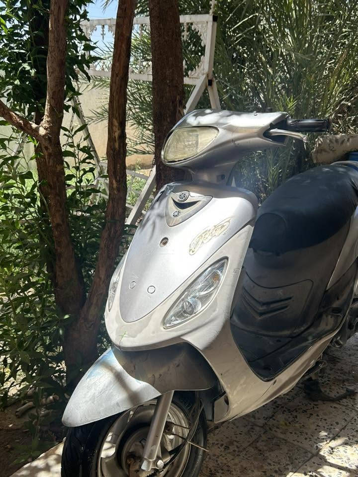 ماكس منغولي ما مفتوحة مراوس بعدلة فقط


**إذا كنت صاحب هذا الإعلان وتريد حذفه لأي سبب، رجاءا أرسل رسالة إلى الدعم الفني**