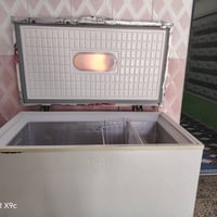 مجمدة • للبيع