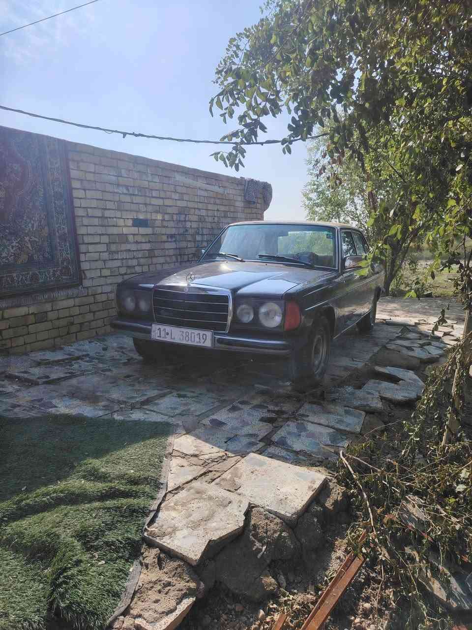 سلام عليكم مارسدس للبيع ابو جحيل موديل1983
سياره جاهز تخم تاير جدد باتري جديد تبريد شغال مكينه ٤ قبق اسود كير اوتماتيك السياره بيه خياسات بسيطه سياره خير من الله مكان السياره ذي قار قلعه سكر بيع وترهم مراوس

اتصل وبيك خير وتدلل

***********
