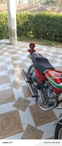 دراجة • اوراق كاملة • مراوس