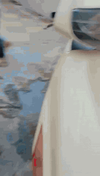 دراجة فراشة • شغالة • أوراق وكيل