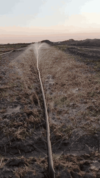 الصوندة المطرية • ٢ إنش • ١٠٠ متر