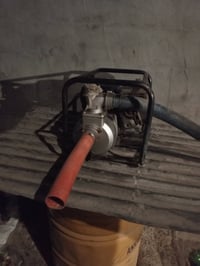 روبين • نظيف