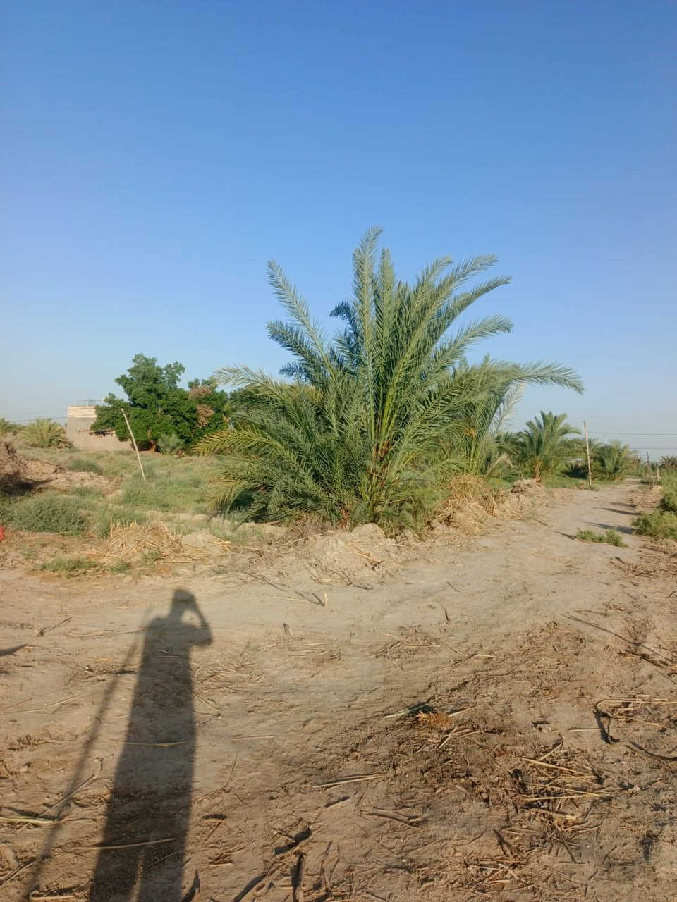 سلام عليكم  دونم للبيع على طريق لحلو مساحته دونم  لواجه 20 ونزال 125 مثل  سعره مناسب ماي كهربائي ماي سكي كلشي متوفر ***********
