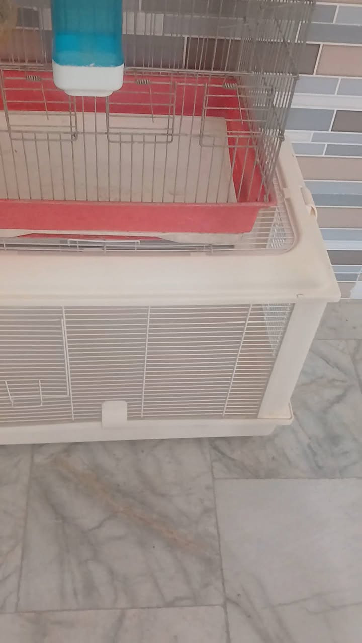 سلام علكيم
متااح كلمن وسعره هاي المواد 
***********
المكان قرب سيف سعد
