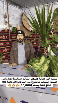 ‏زبائنً الكرام متوفر  من مشتل الفهد كل نباتات الداخليه وعروض تلفيش بمن...