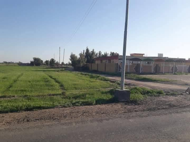 دوانم جميله موقع جيد التاجي ذراع دجلة طابو سند 25 خدمات كاملة ماء اسالة وسقي وكهرباء وسوق مدارس منطقة ريف كلش حلوه الحياة هنا تختلف عيش برفاهيه                (اخذلك دونم 2500 متر او دونمين 5000 متر سعر الدونم 30  مليون )
رتب بيهة مزرعه عائليه ترتاح كلش البناء مسموح سوق مدارس كلش حلوه المنطقة وقريبه على بغداد 
اي استفسار بخصوص الدوانم على الرقم واتساب *********** واتساب
