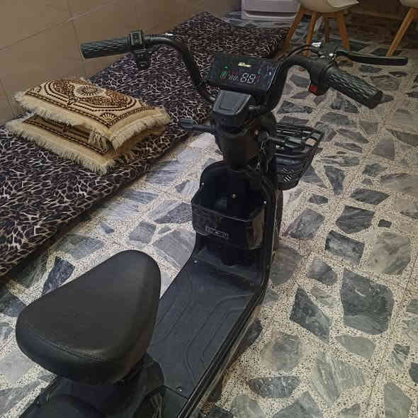 السلام عليك 
دراجه شحن حجم 14 جديده 

5 بطاريات حجم 20  (وسط)

ملف 1000 سرعه 60 حقيقي 

لايتات زنون + نشره 

اشاير يمنه يسره 

ثلاث نمر + هورن 

شاحنه اصليه 260V

بايدر مساعد دراجه 

السعر 350 وبيها مجال 

الرقم *********** بي واتساب
