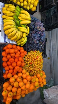 خضرة وفواكه • سوق اليوم • ٢٨/٦/٢٠٢٦