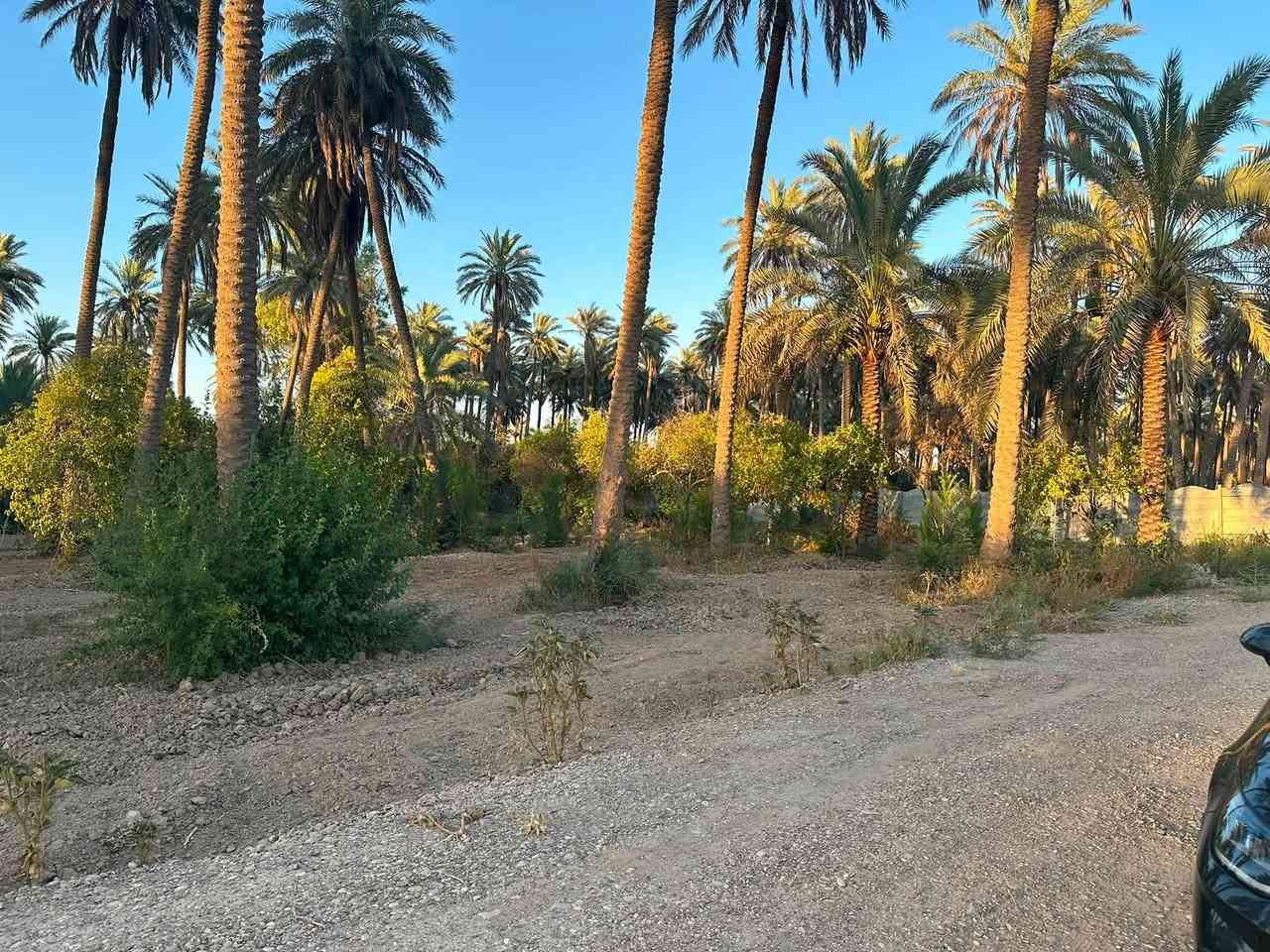 السلام عليكم
اليوم عدنه دونم ملك صرف ملك شخصي تحويل ثاني يوم 
مفتوح بيان كبل يدخل اسمك بل سند 
في بغداد الراشديه منطقه الدباغيه 
يبعد عن الشارع الرئيسي 300متر اذ مو اقل 
واجهة الدونم 48ونزاله 55
كامل خدمات كهرباء +مي +شارع 12متر حاليا سبيس 
اي ستفسار اتصل ع الرقم 
*********** 

تسويق عقارات مشاريع استثمارية عقارات بغدادعقأرات ألعنزي 
@إشارةبغداد الجزيره السياحيه@
