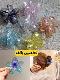 تصفية • اكسسوارات • اسعار بالصور