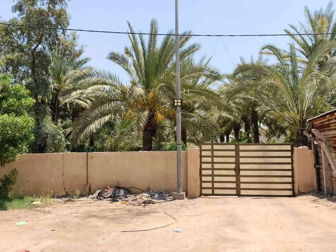 يالله
للبيع 1 دونم  واجهة ٢٨ ونزال ٩٠مساحة 2500 طابو زراعي سند 25 مكون من 5 بيوت 🏠  كل بيت مساحة البناء 150م مجهز من كلشي بناء طابوق مع حديقة 🏡 واسعة ونخيل 🌴وكراج سيارات 🚗
عنوان واسط الصويرة الشاملة قرب محطة شرق البصرة يقع الدونم على شارع العام
للاستفسار الاتصال على الرقم ***********
