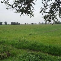 اخواني 4دونم ليوم جايبلكم عرض مختلف بسعر 25مليون سند مستقل منفصل تحويل...