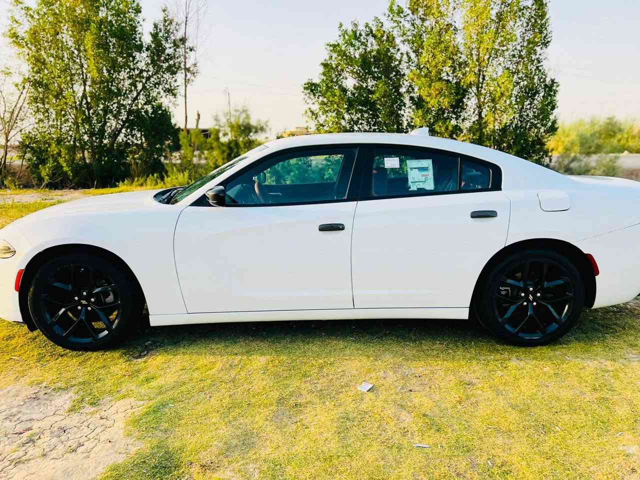 سلام عليكم ورحمة الله وبركاته
جارجر 2023 اصل
رقم بغداد بسمي تحويل مباشر
كفاله عامه ما عده شبر بجاملق الخلفي بارد لا صبغ ولا معجون
سونار مرفق بالمنشور 
ماشيه ٥٥ ميل وقابل للزيادة 
محرك 3600
مواصفات المعروفه
288 وبيه مجال كلش قليل 
مكان ناصريه شطره
اتصال ع رقم واني بالخدمه
***********
