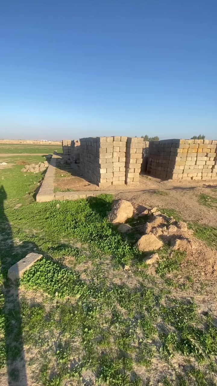 بسبب العود الكاذبه كاع بل رحه قرب الحسوني ها***********
