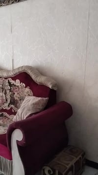 تخم 4 قطع 8 مقاعد كلششش  نظيف وقوي ومابي اي خلل لا كسر ولا شك ولا لون ...