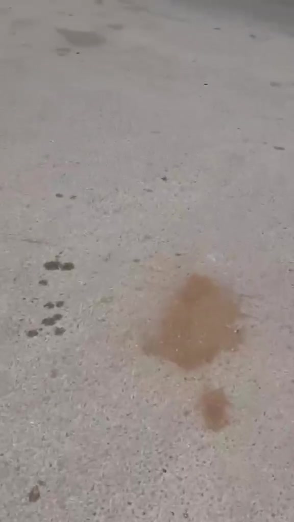بيت للبيع
مساحة 105 متر

يحتوي على أربع غرف نوم و صاله و مطبخ و استقبال

2صحيات

علما :فيه مشتمل معزول عن البيت

عنوان حي العامل الأخير قرب مستوصف الأمير
***********
