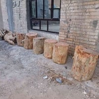 12 قطعة • جاونات • 54×40