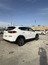 فول اوبشن • ٢٠١٩ • رقم اربيل