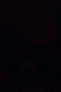 السديناويه • هيكل زراعي • ١٥٠م