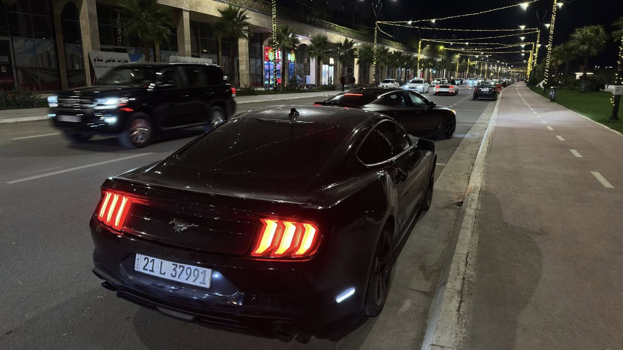 السلام عليكم
فورد موستنگ 2021 للبيع

رقم سليمانية ومكانها سليمانية

ايكو بوست

أعلى مواصفات بالايكو بوست

حتى عدادات دجتال موجوده بلادي ( سعرهن وحده بحدود ال١٥٠٠ دولار)

شاشة وسطية كبيرة

رادارات امامي خلفي 

نقطة عمياء 

مودات قياده نورمل سبورت تراك ثلج

لد داخل الوان متغير

من الأخير اعلى مواصفات 

نصبتها كلش حلوة

وسياقتها داخل سليمانية فقط نظيفة جدا

گير محرك شاصي مكفولات

بيها كتاب تظليل 80% سعره 450 الف سنة كامله

سيارة دهن بس لكوي مولي وبنزين سوبر نادرا محسن

ماشيه 48 الف كيلو وليس مايل

بالمايل بحدود 30 

حادثها تبديل جنطة خلفي وبيها بارد كم مكان بحواف الچاملغات

صبغ او ضربه غير الجنطه ماكو

ايرباگ ماكو

ما متواجدة عالفيس

هذا رقم للي يريد يجي يشوفها

رجاءا المو شراي ليخابر

سعرها 190 وبيها مجال

لتقارنوها بالمهجومات والعميات والايرباگ

***********

الي يريد يشوف فديوهات الها

مصوره هوايه الها فديوهات ع حساب الانستا asawer_alithawi
