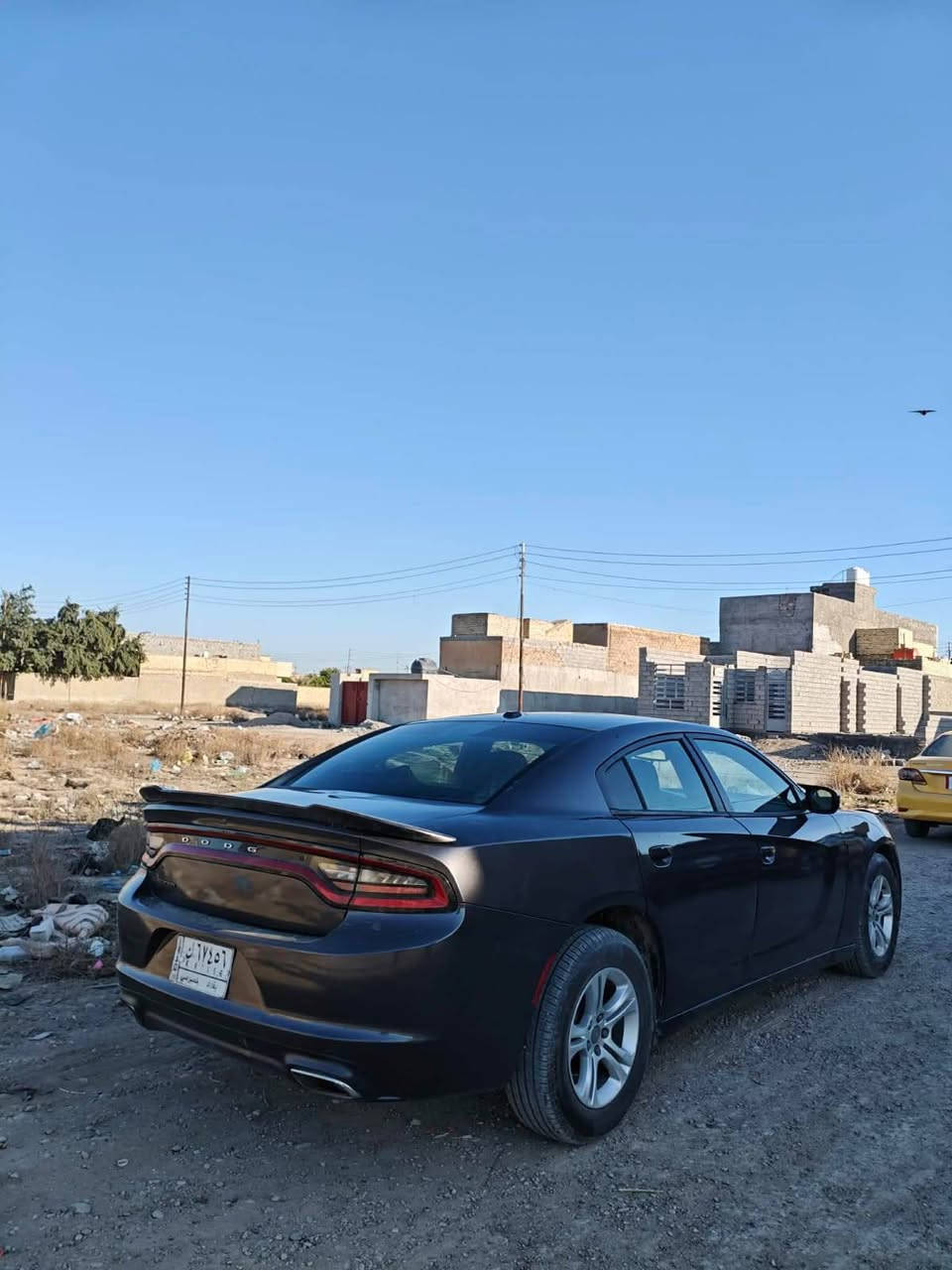 جارجر موديل 15 معلايه 16 تحويل ثاني يوم بيع أو مراوس مكانه بغداد سبع البور سياره ببه صبغ حزام واني ضربت القماره كلير وتواصل ع هذا رقم *********** بي واتساب
