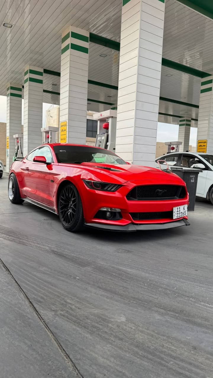 السعر بلاششششش
السلام عليكم موستنك ٢٠١٥ رقم بغداد الدولي هزه جديده مداور ثاني يوم حادث امريكا ويل وموجوده صور حادث وهنا بالعراق صار بيه ربع باب صبغ فقط ماشيه ٣٦ مايل حقيقي السياره جديده بمعنى الكلمه وعليه هواي غراض شوته
ثلاجه وجويتر
دبات روش
ك لايت سموك شكل ال ٢٠
لايت متغير وعين شيطان
السياره فول بريميوم مابيه اي نقص السياره جيديده بمعنه الكلمه
مكان السياره كربلاء
السعر 157 وبيه مجال
رقم الهاتف ***********
