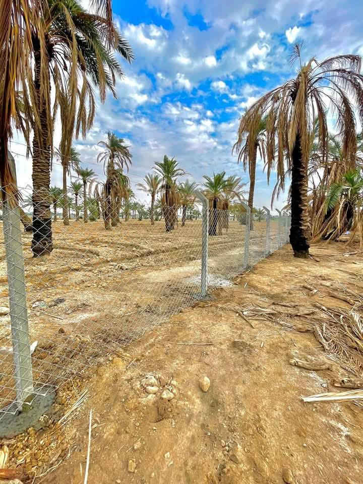 🎉 تخفيضات مذهلة من شركة الرصينه للعمل الاسيجه البيارسي تبدأ من 5500 دينار فقط حتى 10500دينار!
***********//***********
🔧 خدماتنا:

إنشاء أسوار B.R.C بجميع أنواعها، الأحجام، والقياسات.
متوفر جادر وبدون جادر بالإضافة إلى السياج العشبي.
استخدام بوري مغلون وحديد بأعلى جودة.
🏢 نحن مستعدون للعمل مع دوائر الدولة، المتنزهات، ونقدم خدماتنا في جميع محافظات العراق.

📏 ملاحظات هامة:

سعر المتر لسياج B.R.C يتم احتسابه بالطول وليس بالمربع.
السياج العشبي يُحتسب بالمتر المربع.
الأسعار تختلف بين المساحات الصغيرة والكبيرة.
💼 تميزنا في الدقة والمصداقية، ولسنا الوحيدين ولكننا الأفضل! 🌟

تابعونا على البيج لمزيد من التفاصيل حول أعمالنا المنجزة، وتواصلوا معنا على مدار الساعة للاستفسارات والمزيد من المعلومات.

📞 للتواصل: ***********يتوفر واتساب
 ***********
📍 ملاحظة: عند مراسلتنا على البيج، يرجى ذكر عنوانك بالكامل وعدد الأمتار المطلوبة.

✨ سارعوا بالاتصال الآن واستفيدوا من عروضنا الخاصة! ✨
