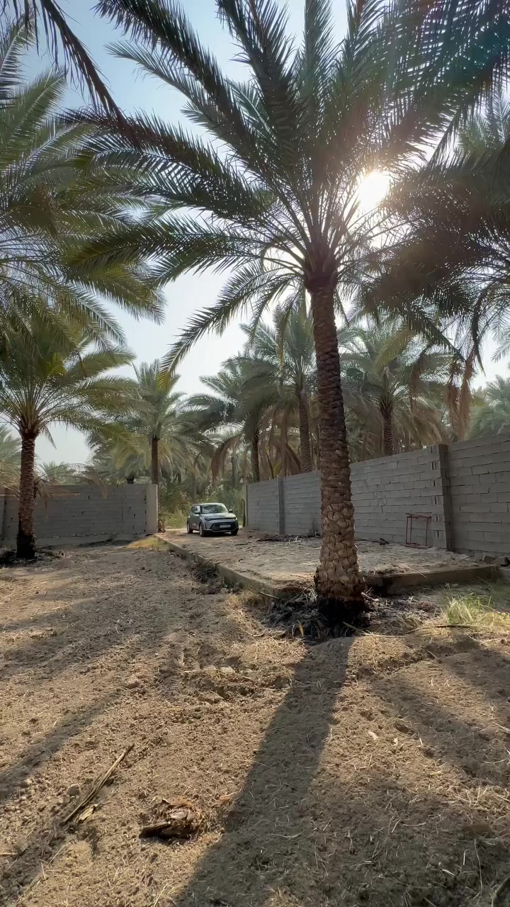 السلام عليكم 1000 متر للبيع. التفاصيل داخل الفيديو ***********
