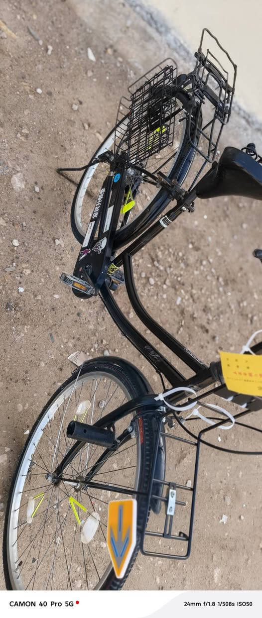 السلام عليكم
باسكل للبيع الموديل 2020

باسكل جاهز 

النضافه 80 ب 100 

العنوان النجف مقابل قريه الغدير 

بشارع المطحنه 

السعر 110 وبي مجال قليل 

حك الجيه
الرقم للاتصال 
***********
