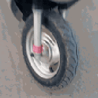 ماكس منغولي 49 • مفولة • سعر خاص