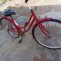 بايسكل • الديوانيه قضاء صينيه