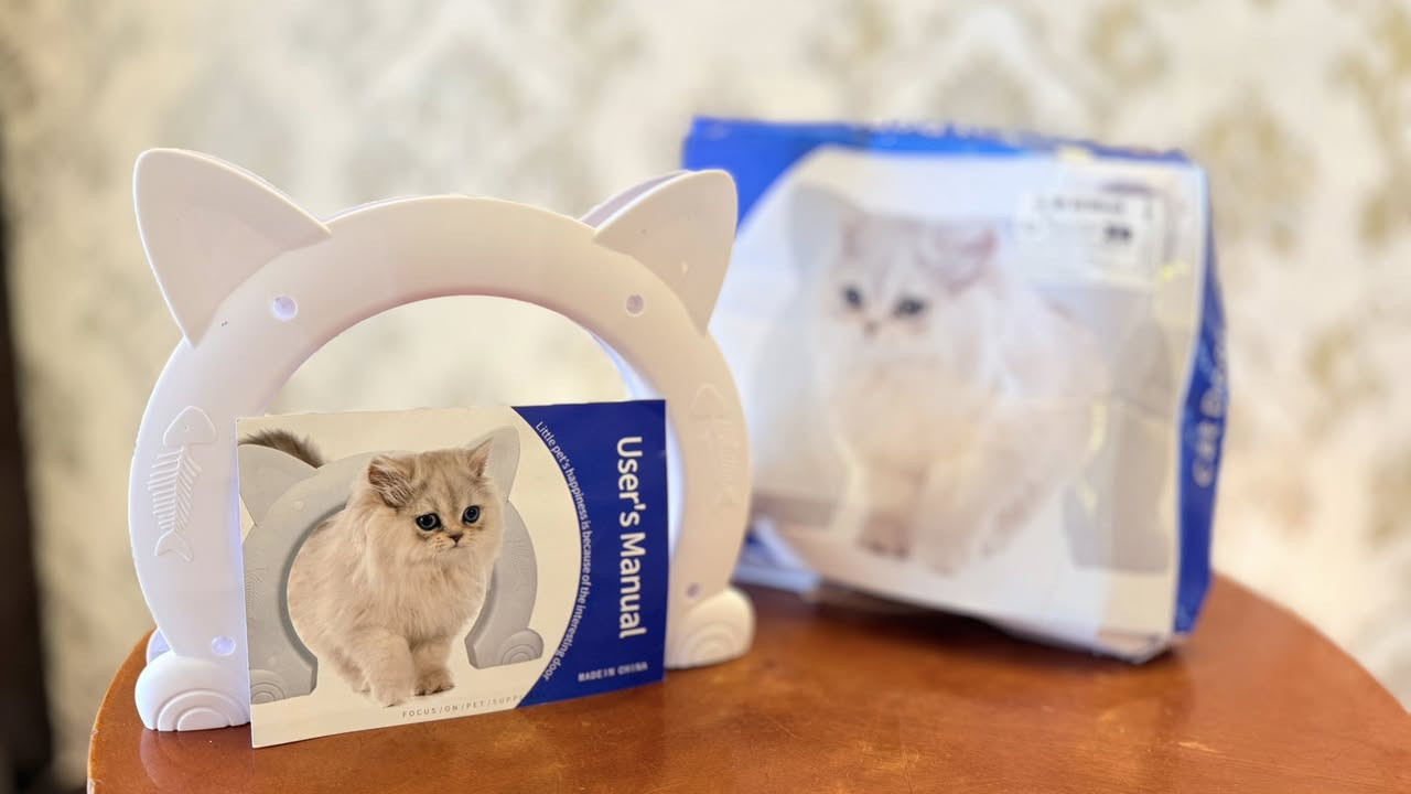 متوفر غراض قطط بسعر مناسب 
للاستفسار التواصل مع الرقم ‭٠٧٧٢ ٥٩٨ ٥٣٦٧‬
