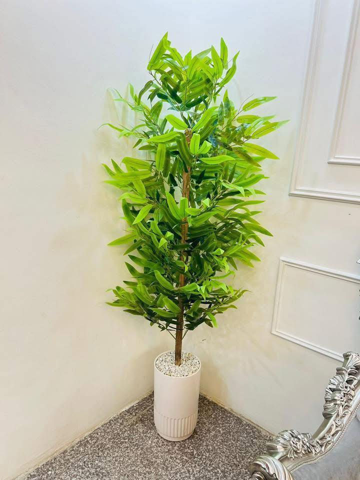 قياس ١٩٠ سم سندانه زجاج كوالتي عالي باقي اخر قطعتين بسعر ٢٨ الف فقط ❤️


**إذا كنت صاحب هذا الإعلان وتريد حذفه لأي سبب، رجاءا أرسل رسالة إلى الدعم الفني**