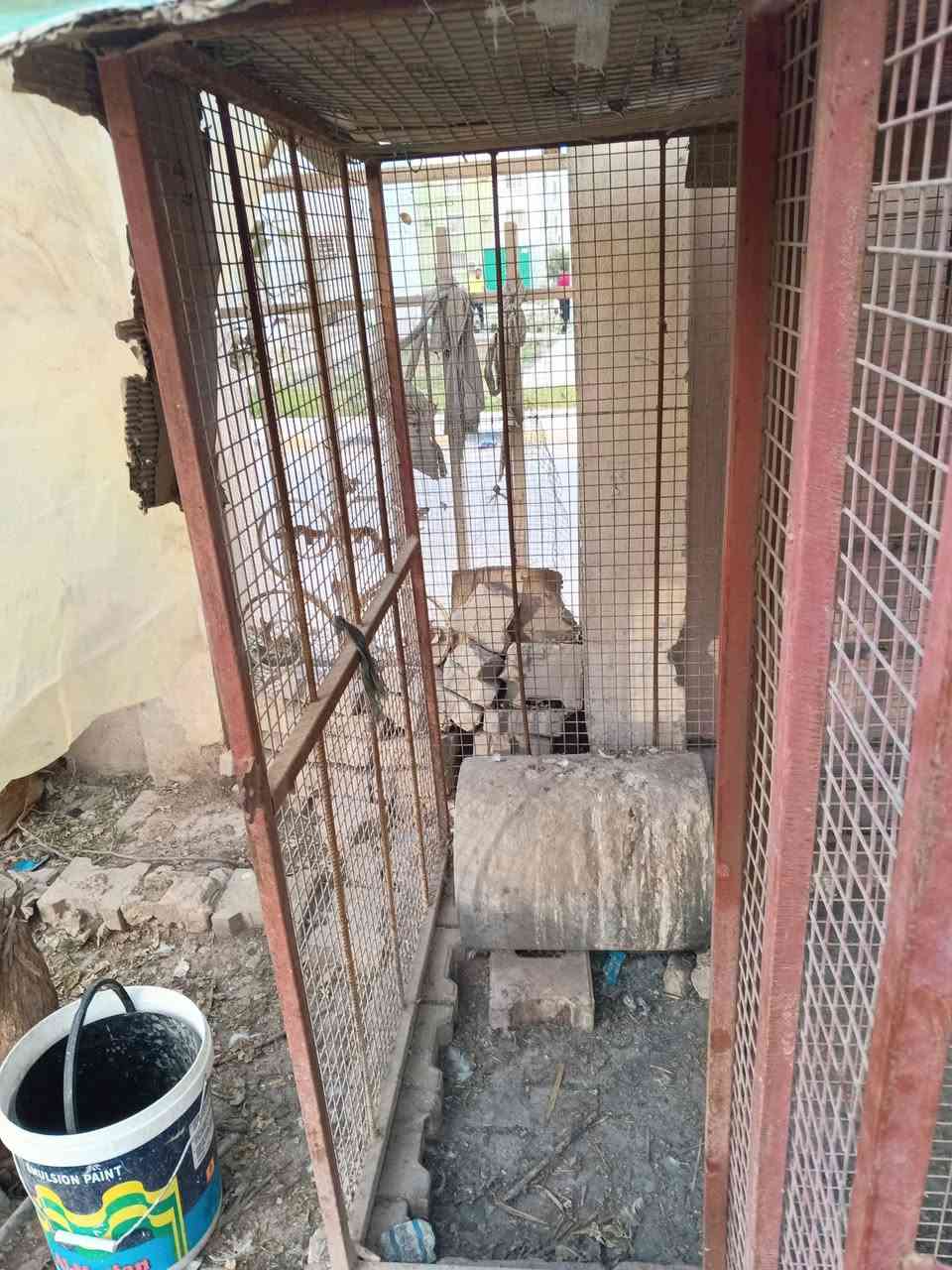 قفص حديدي ثقيل جدا ، الطول ٢٣٠سم والارتفاع ١٥٠ سم ،  والعرض ١١٠ سم  للبيع ب ١٠٠ الف
حي القدس خلف الكراج الجنوبي


**إذا كنت صاحب هذا الإعلان وتريد حذفه لأي سبب، رجاءا أرسل رسالة إلى الدعم الفني**