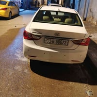 سوناتا • ٢٠١٢ • وارد مريكي